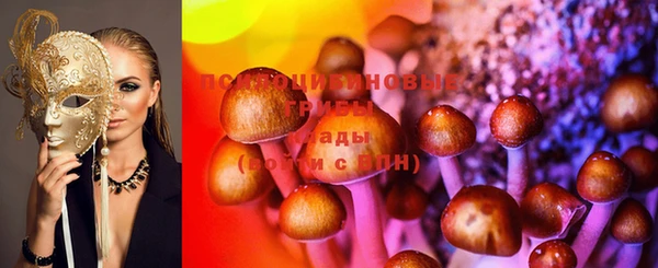 прущая мука Протвино
