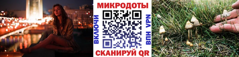 Псилоцибиновые грибы мицелий  MEGA ТОР  Кяхта 